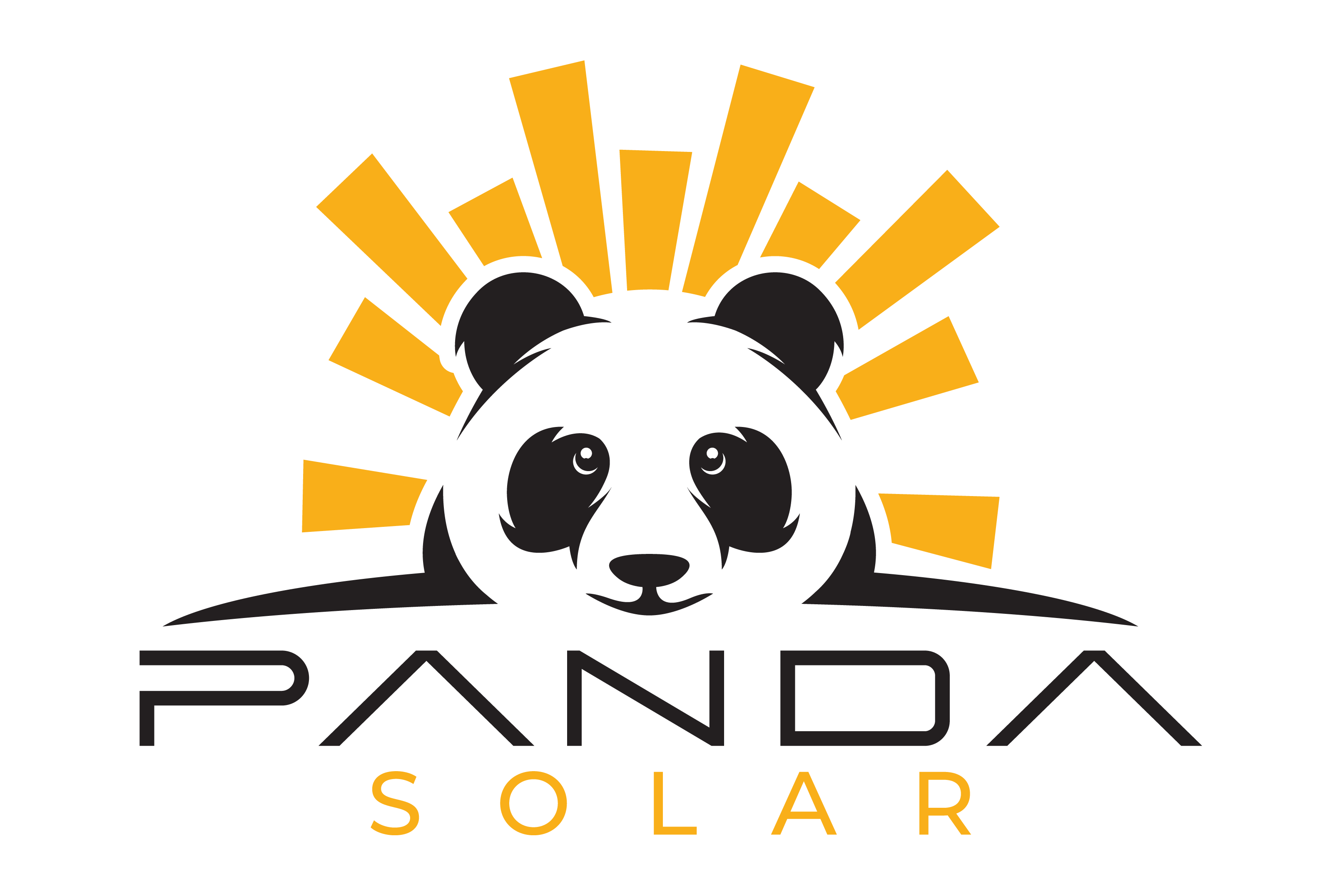 PANELES SOLARES PANDA SOLAR